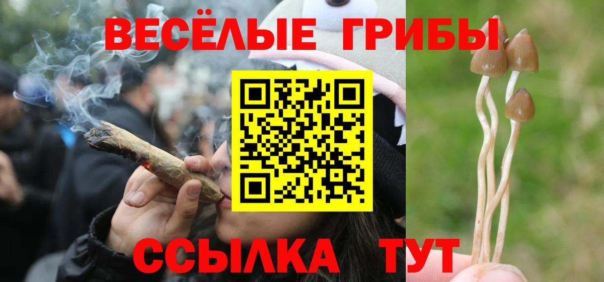 Псилоцибиновые грибы ЛСД Белогорск